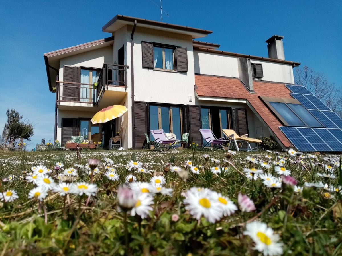 Bed and Breakfast La Vie En Rose Buia Экстерьер фото